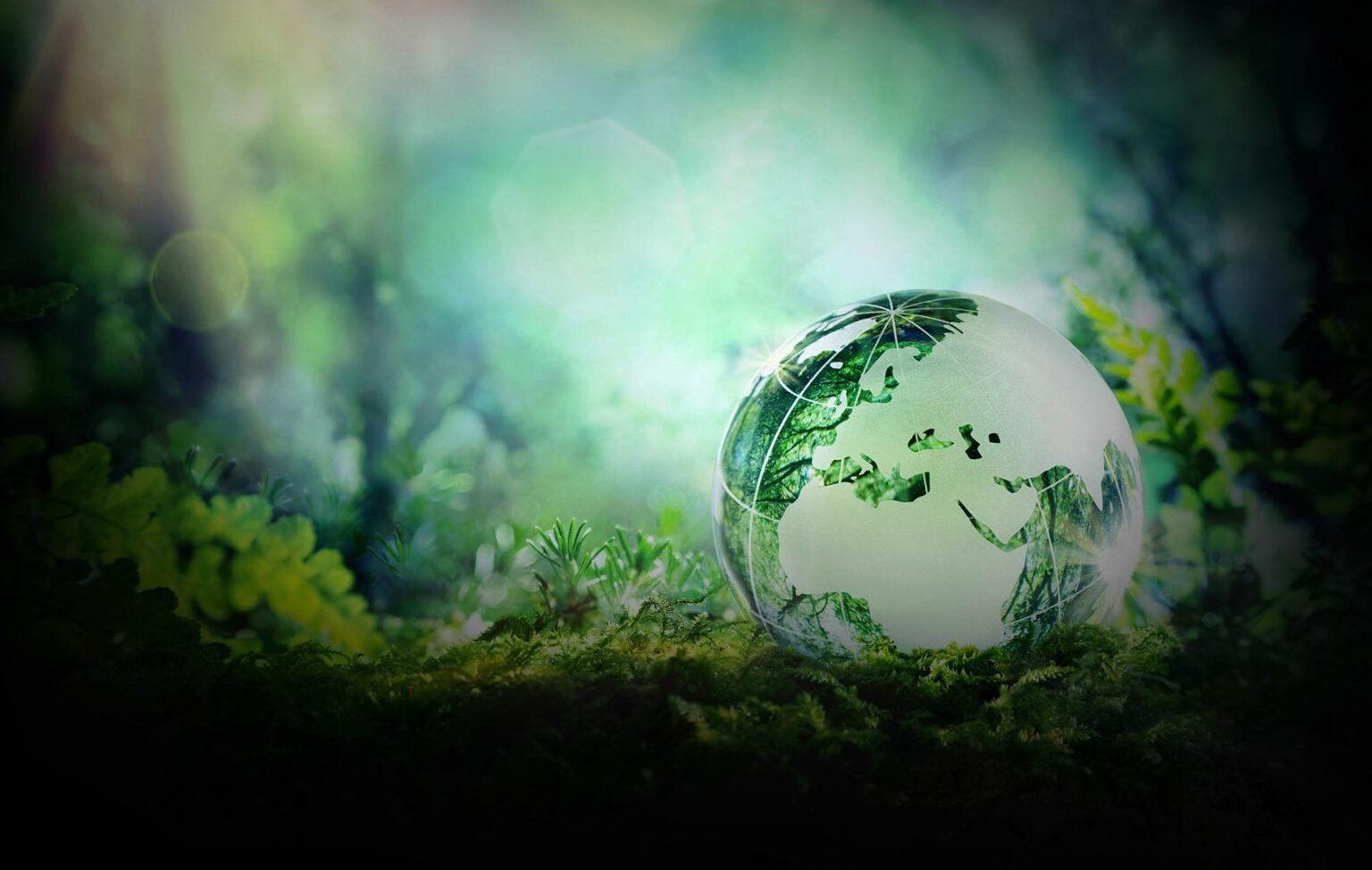 Masters in Biotechnology Program University